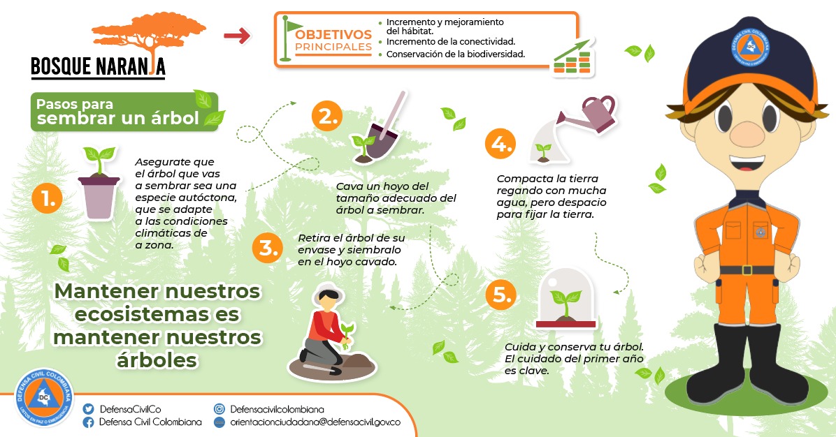 En el marco de campaña Bosque Naranja, la Defensa Civil Colombiana te enseña los pasos correctos para sembrar un árbol